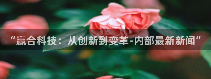 “赢合科技：从创新到变革-内部最新新闻”